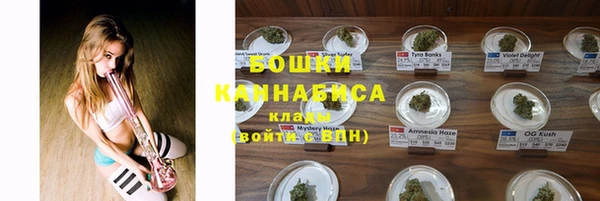 стаф Абаза