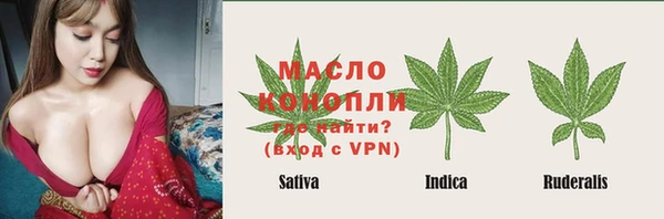 стаф Абаза