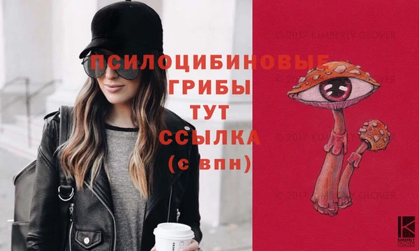 первитин Каменск-Шахтинский