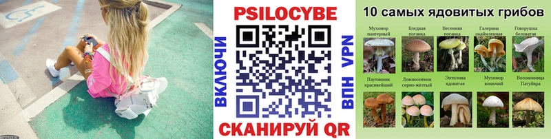 где продают наркотики  Кострома  Псилоцибиновые грибы мухоморы 
